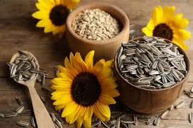 Sunflower Seeds