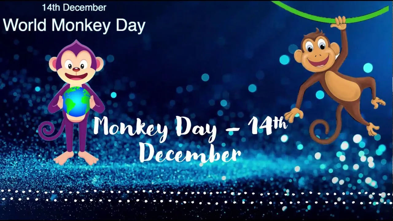 monkeyday2