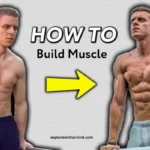 Building Muscle in 15 Days