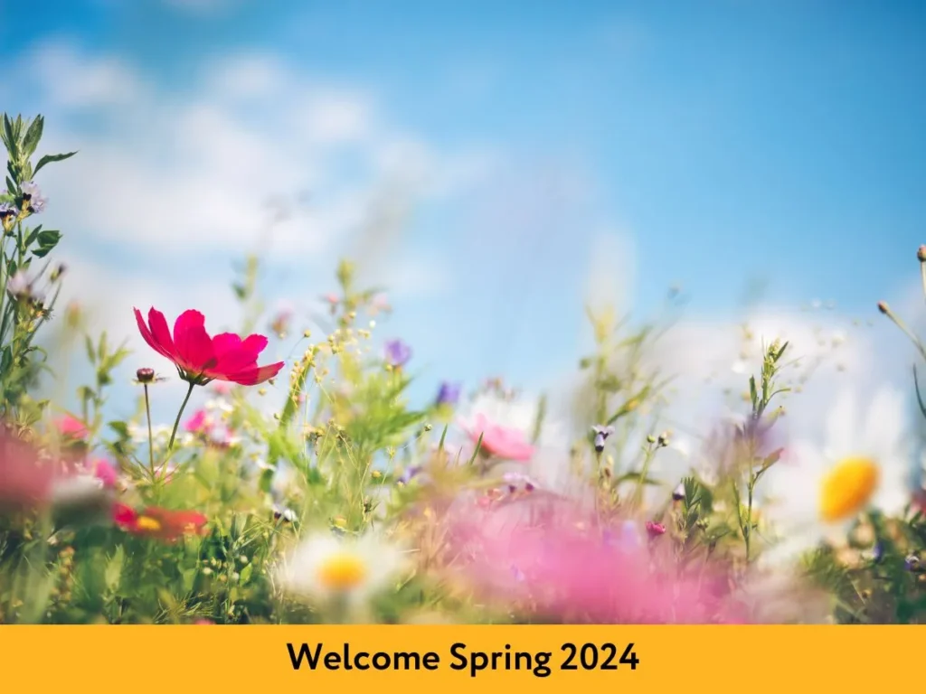 Welcome Spring 2024