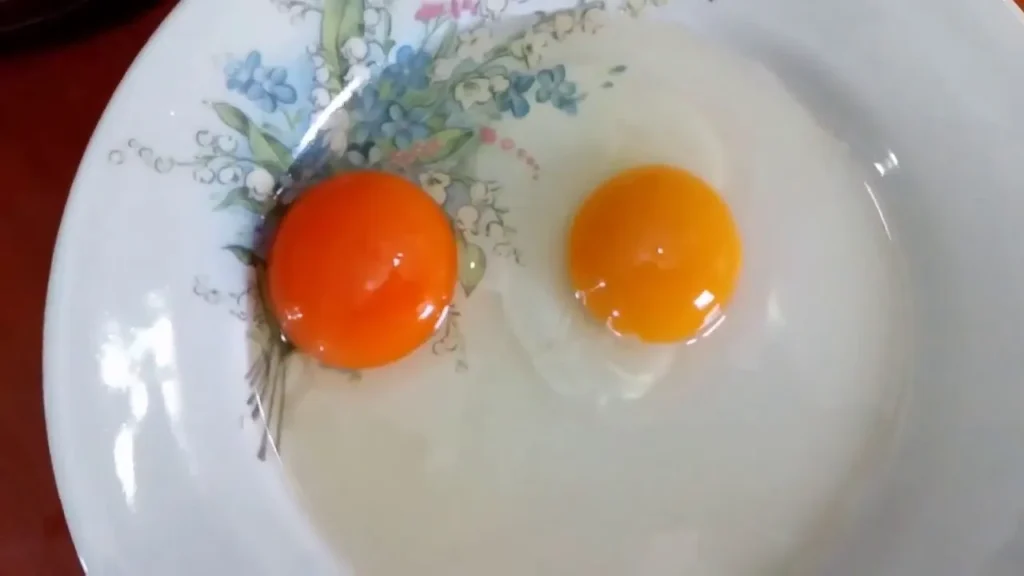 fake-eggs-real-eggs