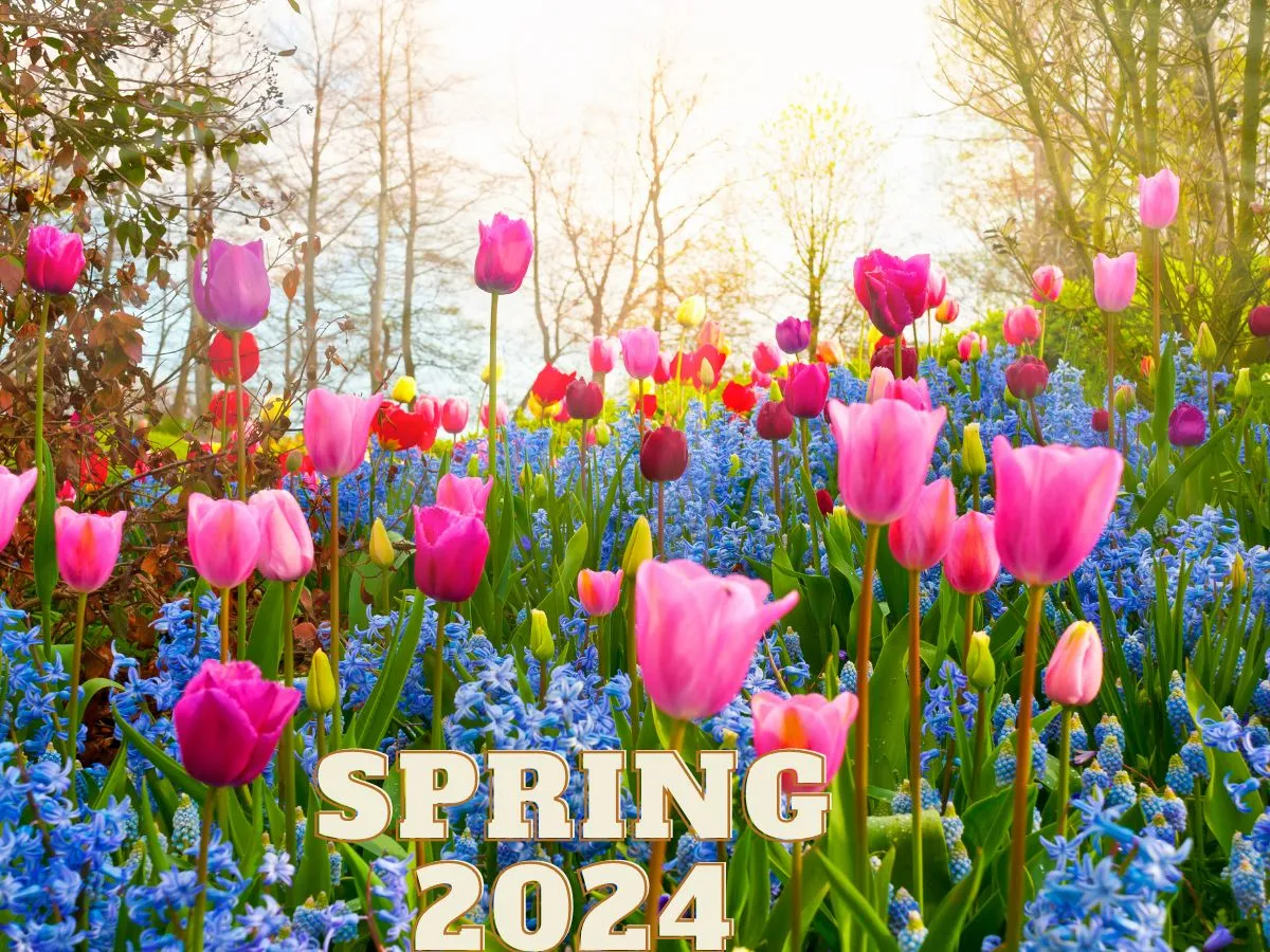 spring 2024