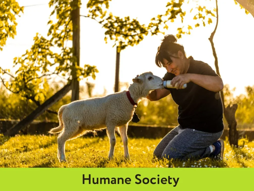 Humane Society