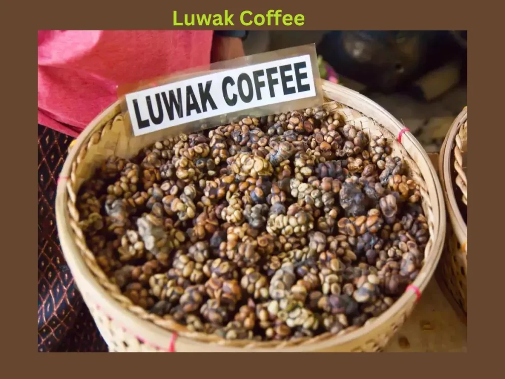 Luwak Coffee