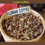 Luwak Coffee