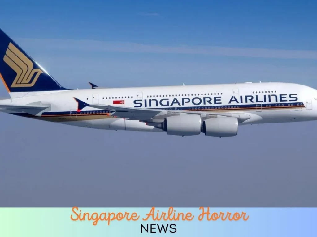 Singapore Airline Horror