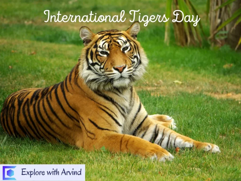 International Tiger Day