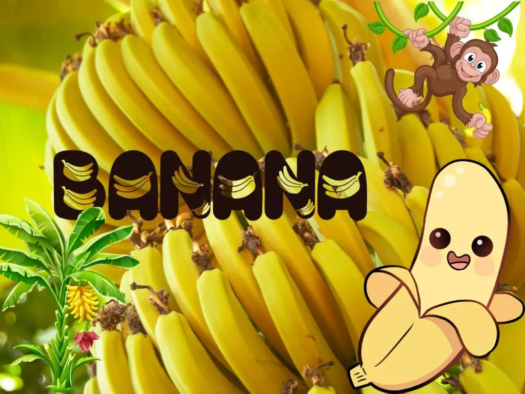 Banana the Superfood