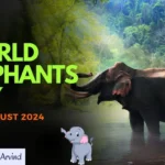 World elephants day