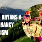 pure Aryans & pregnancy tourism