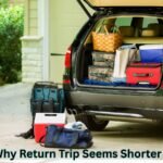 Return Trip