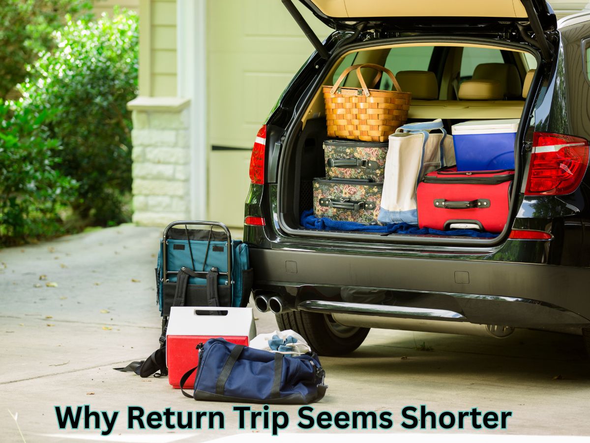 Return Trip